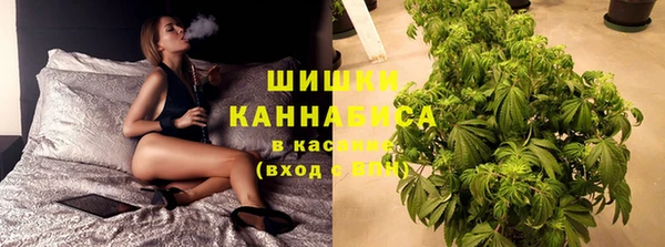 стафф Магадан