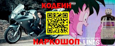 МДПВ Можга