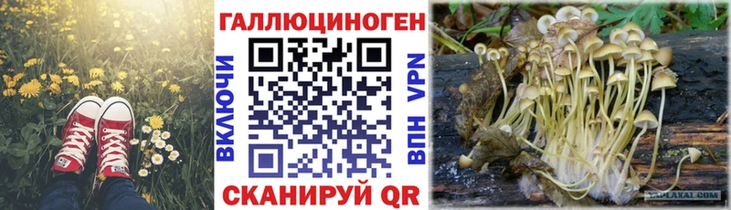 Псилоцибиновые грибы мухоморы Нягань
