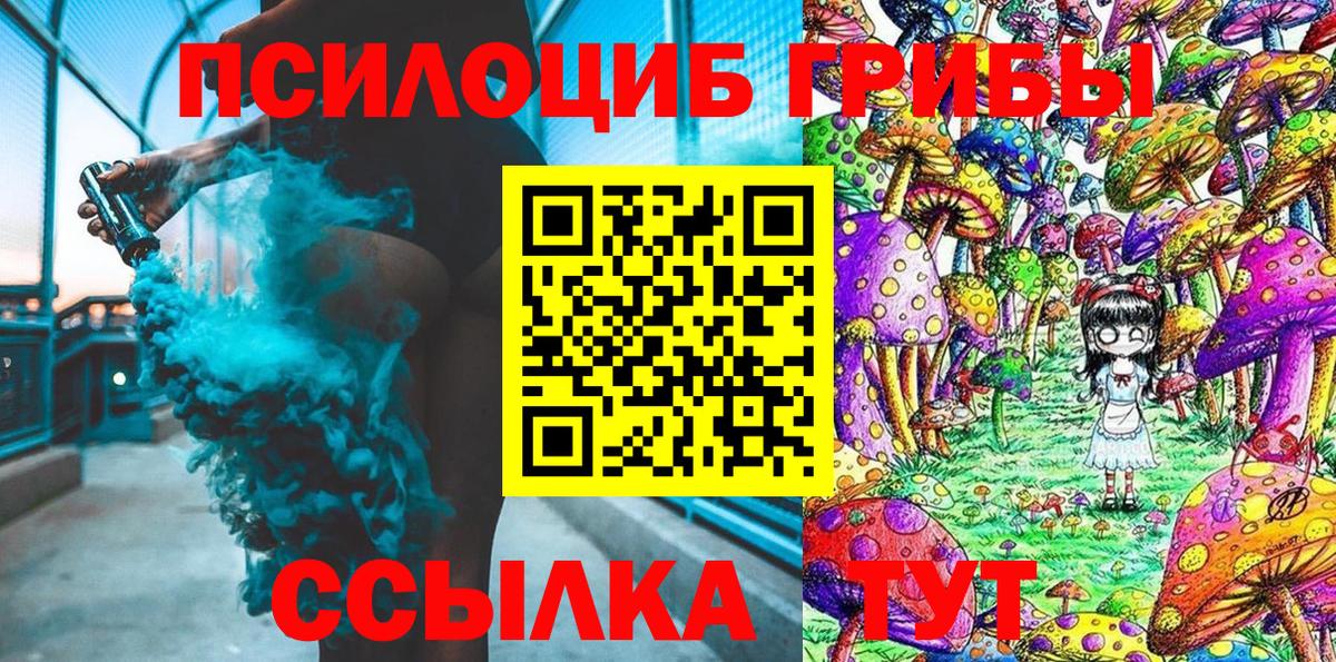 Нягань  Галлюциногенные грибы Psilocybe  Вход с VPN 