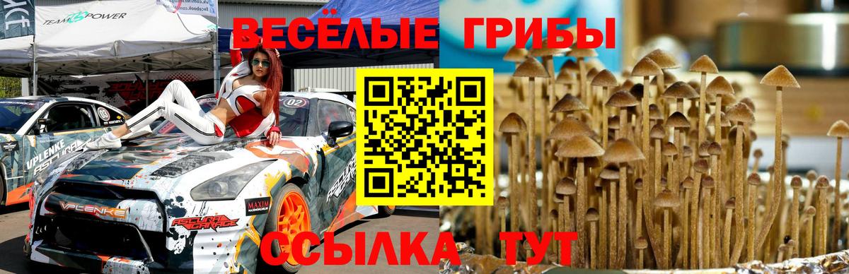 Псилоцибиновые грибы Magic Shrooms Нягань